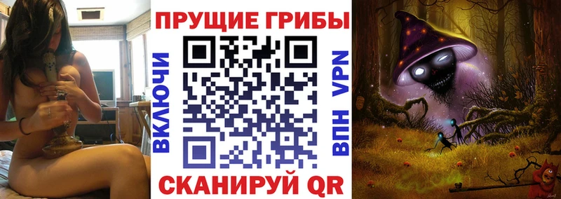 это какой сайт  Богородск  Галлюциногенные грибы мицелий  сколько стоит 